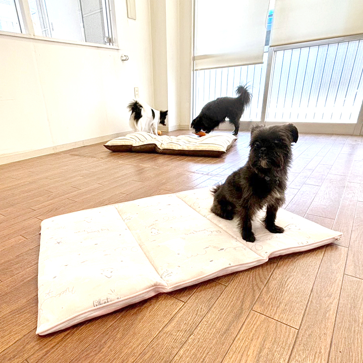 ショートタイムでお試しも可