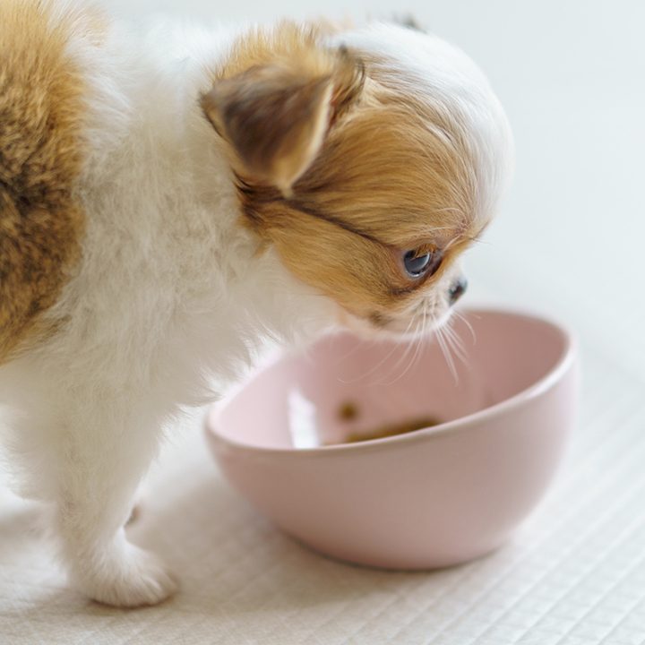 【昼】お昼ごはん(必要な子)