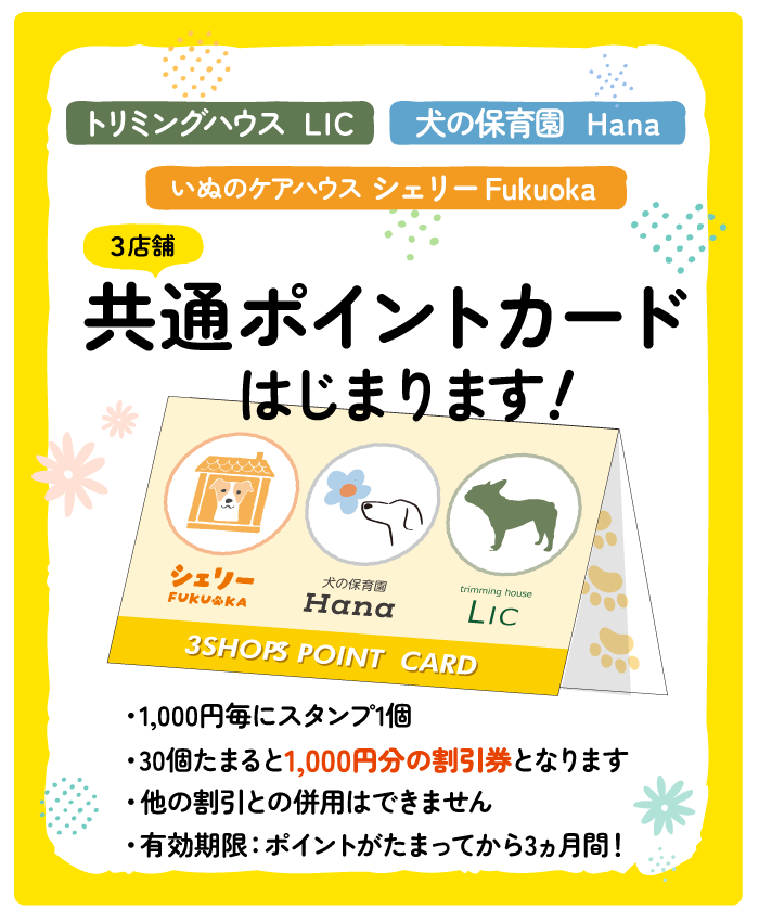 共通ポイントカード