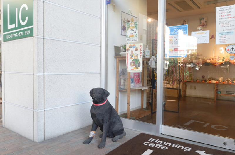 犬の保育園Hanaとは