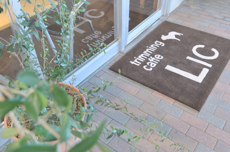 犬の保育園Hanaとは