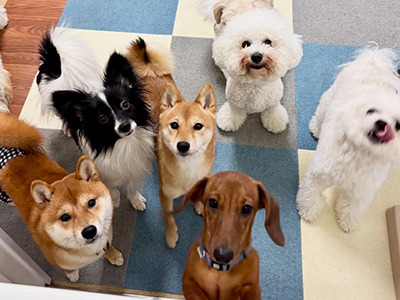 ご利用者さまの声